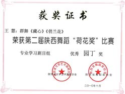 王慧荣获第二界陕西舞蹈"荷花浆"比赛优秀园丁奖